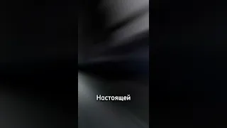 САМЫЕ ДОРОГИЕ ИГРУШКИ В МИРЕ🧸 #shorts