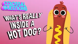 What’s REALLY Inside a Hot Dog? | COLOSSAL QUESTIONS