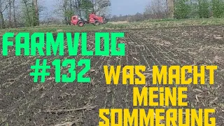 Farmvlog#132 was macht meine Sommerung?