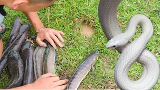 Catch Fish From Underground Hole With Snake || amazing fishing video