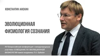 Эволюционная физиология сознания. Константин Анохин