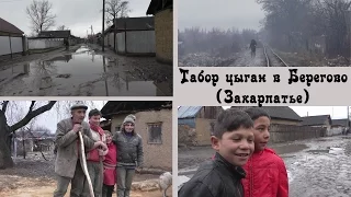 Gypsy camp in Beregovo | Places and peoples