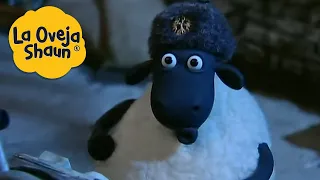 La Oveja Shaun 🐑 ¡Ovejas del Norte! 🐑 Dibujos animados para niños