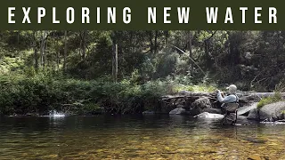 Dry Fly and Euro Nymphing a new river