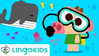 OCEAN SONGS FOR KIDS 🌊 Under the sea + More songs | Lingokids