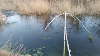 01.04.2021. Первая рыбалка на паук по холодной воде.