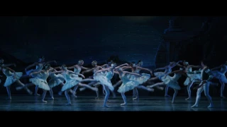 SWAN LAKE | Corps de Ballet