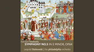 Symphony No. 5 in E Minor, Op. 64: I. Andante. Allegro con anima