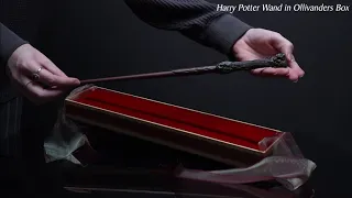 Harry Potter Wands