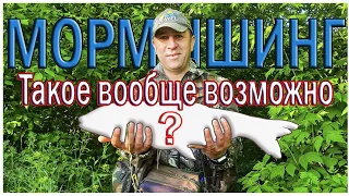 ТАКОЕ ВООБЩЕ ВОЗМОЖНО?!!!(ТРОФЕИ НА МОРМЫШИНГ)