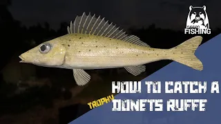 Russian Fishing 4 - Seversky Donets - How to catch a trophy Donets ruffe!