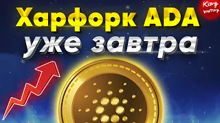 Cardano на пороге отката? | ADA прогноз на август 2022