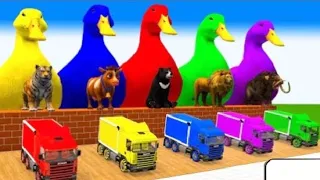 Giant Duck, Monkey, Piglet, chicken, dog, cat, cow, Sheep, Transfiguration fu...