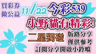 11/22 今彩539 小野貓有"精彩"539 二星獨碰版路分享 善❤就會開★★❤❤