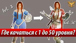 Black Desert – Прокачка с 1 до 50 уровня | Гайды Black Desert