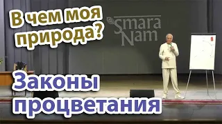 Законы процветания. Сила подсознания. Александр Хакимов