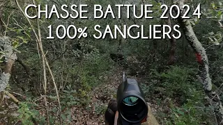 CHASSE BATTUE DE SANGLIERS 2024 (Vaucluse et Gard 100% Sangliers)