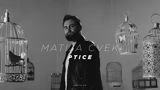 MATIJA CVEK - Ptice (Official Video)