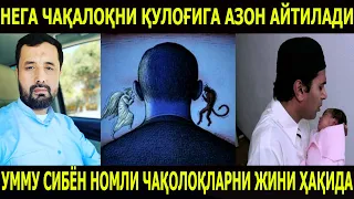 УММУ СИБЁН НОМЛИ ЧАҚАЛОҚЛАРНИНГ ЖИНИ. АБРОР МУХТОР АЛИЙ