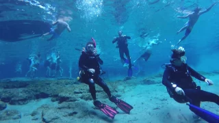 Ginnie Springs, Florida Family Scuba Dive July 2017