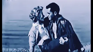 "The Way to the Gold" Jeffrey Hunter, Sheree North 황금(黃金)을 찾아(道路)1957