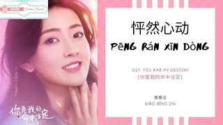 Peng Ran Xin Dong 怦然心动 - 萧秉治 OST. You Are My Destiny 《你是我的命中注定》 PINYIN LYRIC