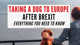 Taking a dog to France/ Europe after BREXIT- essential things you need to know.