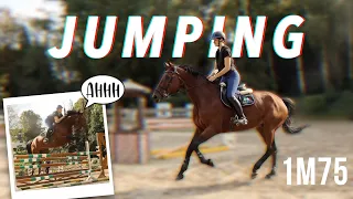 DRESSAGE RIDER JUMPS FOR THE FIRST TIME IN A YEAR (went pretty well)