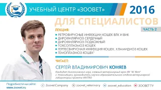 Коняев С. В. в УЦ «Зоовет» | Инфекционные заболевания кошек, ч. 2