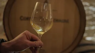 Discovering France's Côte d'Or vineyards in winter • FRANCE 24 English