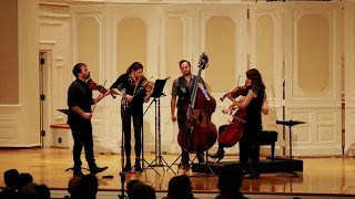 Gulls Circling a Bay for string quintet  (2020)