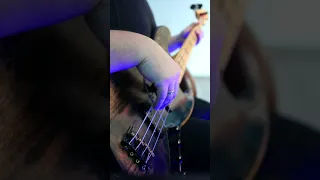 Rage Against The Machine - Killing In The Name (Bass Cover)