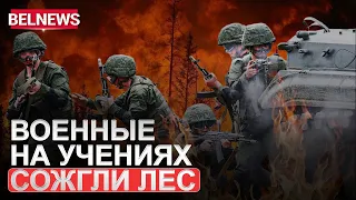 Масштабный лесной пожар на военном полигоне под Ружанами / BelNews