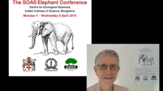 Elephants in Islamic history, Elephant Conference 2016, SOAS University of London