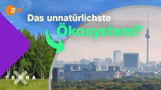 Was macht das Ökosystem “Stadt” so besonders? | Terra X plus