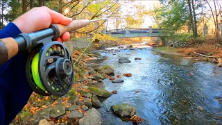 Small Stream Pocket Water Fly Fishing | Euro Nymphing & Streamers