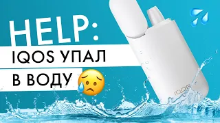 IQOS упал в воду | Что делать?