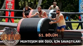 Muhteşem bir ödül için yarıştılar! | 61. Bölüm | Survivor 2018