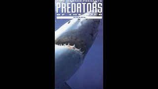 Predators of the Wild: Shark (VHS full documentary 1992)