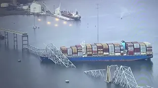 Watch how Bridge in Baltimore collapsed