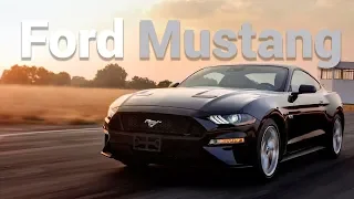 Ford Mustang - Un poderoso purasangre