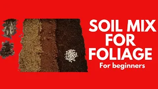 || DIY SOIL MIX FOR FOLIAGE PLANTS ||