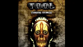 Tool - Strangling Kalamazoo (Full Album)