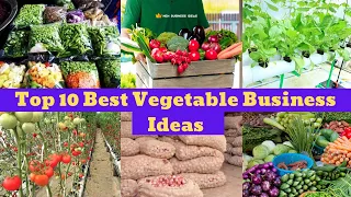 Top 10 Best Vegetable Business Ideas || Low Investment With High Profit