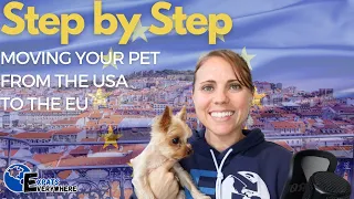 HOW TO Move With Your Pet from The US to Europe - Step by Step Guide (2020) | Expats Everywhere