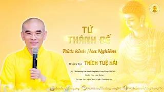 Tứ Thánh Đế  19 - (Trích Kinh Hoa Nghiêm) - TT. Thích Tuệ Hải - Chùa Long Hương