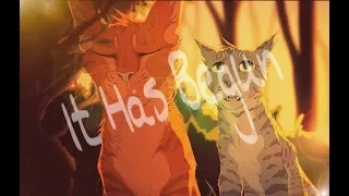 「AMV」Warriors Cats - It Has Begun