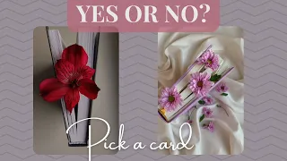 YES OR NO? & Why | Pick a card #tarot