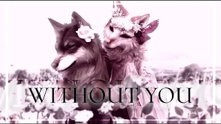 wcmv | without you