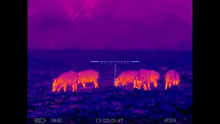 BEST THERMAL ON THE MARKET? Senopex S7 LRF image quality